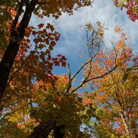 092126-LakeAgnes-137