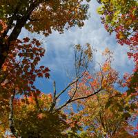 092126-LakeAgnes-138