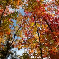092126-LakeAgnes-139