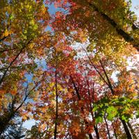 092126-LakeAgnes-140