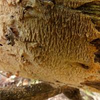 092324-CentennialPark-025
