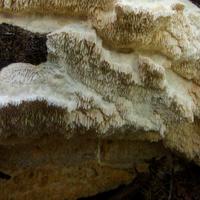 092324-CentennialPark-028