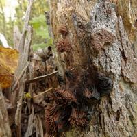 092622-GrandMarais-023