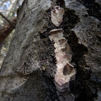 092622-GrandMarais-100