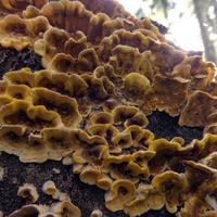092622-GrandMarais-115