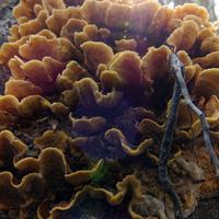 092622-GrandMarais-116
