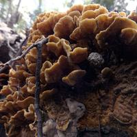 092622-GrandMarais-117