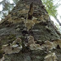092622-GrandMarais-120