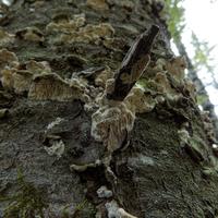 092622-GrandMarais-124