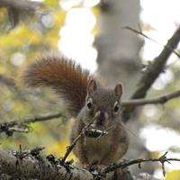 092710-centennialpark-099