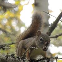 092710-centennialpark-100
