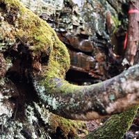 100107-SLR-centennialpark-026