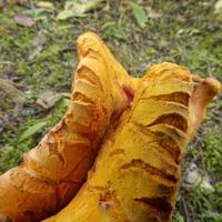 100222-CentennialPark-059