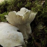 100222-CentennialPark-087