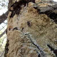100222-CentennialPark-099