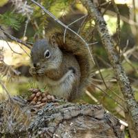 100222-CentennialPark-116