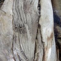 100421-CentennialPark-066