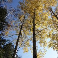 100421-CentennialPark-145