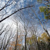 100514-LakeAgnes-020