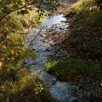 100525-CentennialPark-005