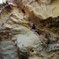 100525-CentennialPark-015