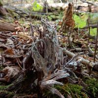 100525-CentennialPark-127