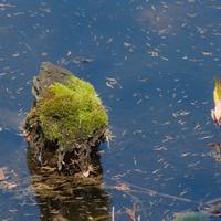 100525-CentennialPark-157