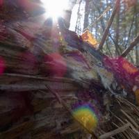 100525-CentennialPark-172