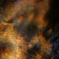 1006-100917-NorthShoreHiking-059