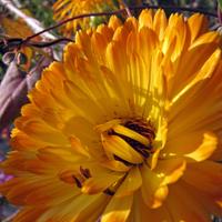 1007-101011-NorthShoreHiking-100