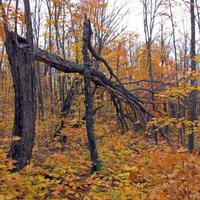 1007-101011-NorthShoreHiking-122