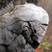 1007-101011-NorthShoreHiking-126