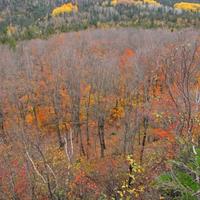 1007-101011-NorthShoreHiking-152