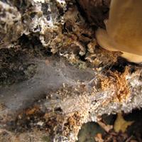 1007-101011-NorthShoreHiking-190