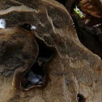 100820-CentennialPark-009