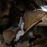 100820-CentennialPark-015