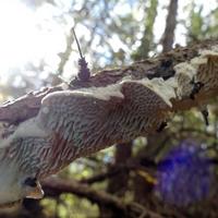 100820-CentennialPark-073