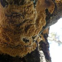 100820-CentennialPark-102