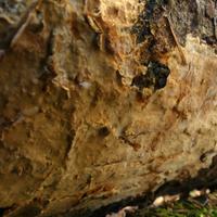 100820-CentennialPark-126