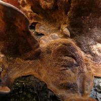 100820-CentennialPark-132