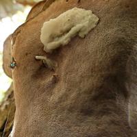 100820-CentennialPark-135
