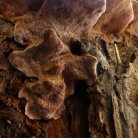 100820-CentennialPark-138