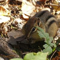 100820-CentennialPark-160