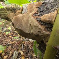 100923-GrandMarais-032
