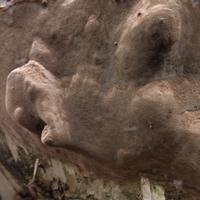 100923-GrandMarais-117