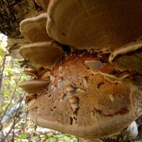 101026-GrandMarais-019