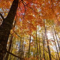 101026-GrandMarais-025