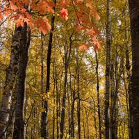 101026-GrandMarais-026
