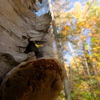 101026-GrandMarais-028