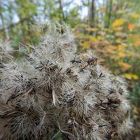 101026-GrandMarais-040